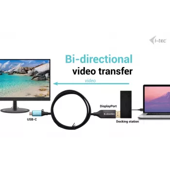 i-tec USB-C DisplayPort Αμφίδρομος Προσαρμογέας καλωδίου 8K/30Hz 150 cm