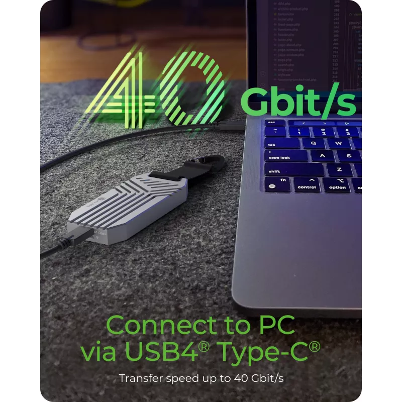 ICY BOX IB-1919M-C42 Θήκη SSD Ασημί M.2
