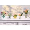 Miniverse - Make It Mini Botanicals, 8 ετών, Πολύχρωμο, Πλαστικό