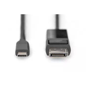 DIGITUS USB Type-C σε DisplayPort αμφίδρομο, μέγιστη ανάλυση 8K 30 Hz, μήκος 2 m, μαύρο
