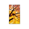 Sharp NEC MultiSync M322 (PN-M322) οθόνη ψηφιακής σήμανσης 32 ιντσών (81,3 cm), Full HD, 450 cd/m², 24/7, μαύρη
