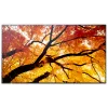 Sharp MultiSync M552 Digital Signage Επίπεδη οθόνη 139.7 cm (55 ίντσες) LCD 550 cd/m² 4K Ultra HD Μαύρο Touchscreen