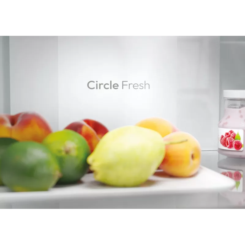 Candy Fresco ECN2CQTEW186 ελεύθερο 355 L λευκό