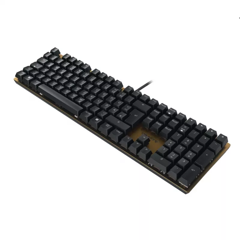 CHERRY KC 200 MX πληκτρολόγιο Universal USB QWERTZ Γερμανικό μαύρο, μπρονζέ