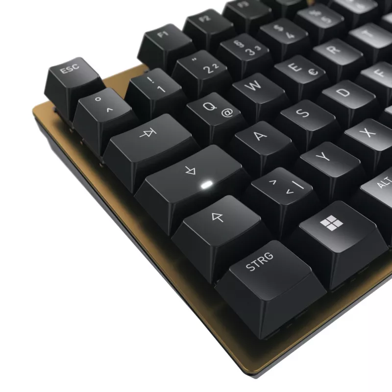 CHERRY KC 200 MX πληκτρολόγιο Universal USB QWERTZ Γερμανικό μαύρο, μπρονζέ