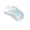 Ποντίκι Xtrfy M4 RGB RF Wireless Οπτικό 19000 DPI