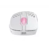 Ποντίκι Xtrfy M4 RGB RF Wireless Οπτικό 19000 DPI