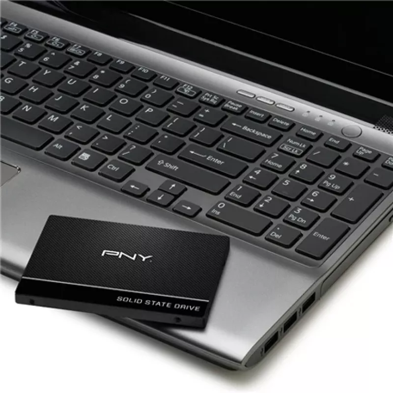 SSD δίσκος PNY 250 GB 2,5 inch Serial ATA III SSD7CS900-250-RB