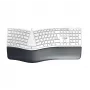 CHERRY KC 4500 ERGO Πληκτρολόγιο Universal USB QWERTZ Γερμανικό λευκό
