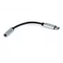Προσαρμογέας DAC ήχου Equip USB-C σε 3,5 mm