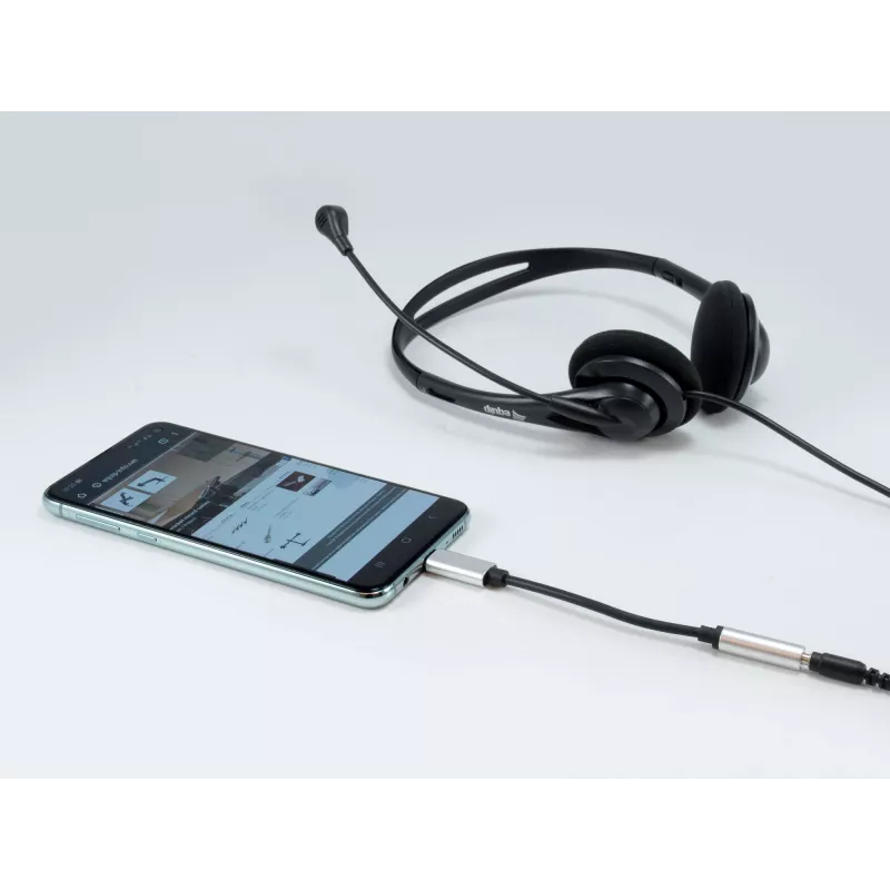 Προσαρμογέας DAC ήχου Equip USB-C σε 3,5 mm