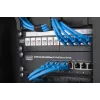 DIGITUS Πάνελ διαχείρισης καλωδίων 10 ιντσών 1HE 3x κρίκοι καλωδίων μαύρο