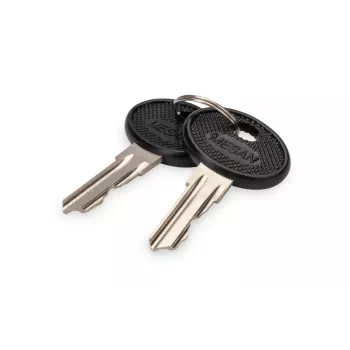 DIGITUS DN-19-KEY-4444 κλειδί κλειδαριάς τύπου 4444 για επιτοίχια ερμάρια SOHO PRO DN-1019 / DN-DVR-1, μαύρο/ασημί, 2 τεμ.