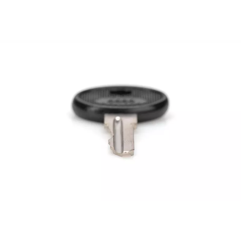 DIGITUS DN-19-KEY-4444 κλειδί κλειδαριάς τύπου 4444 για επιτοίχια ερμάρια SOHO PRO DN-1019 / DN-DVR-1, μαύρο/ασημί, 2 τεμ.