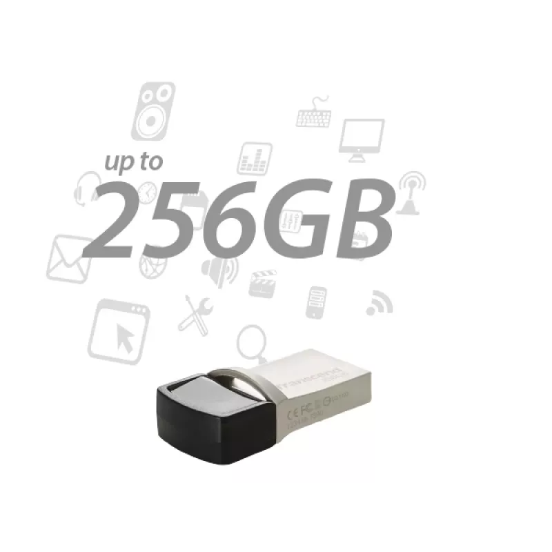 TRANSCEND Jetflash 890 - 256GB USB stick - USB 3.1 / Type C