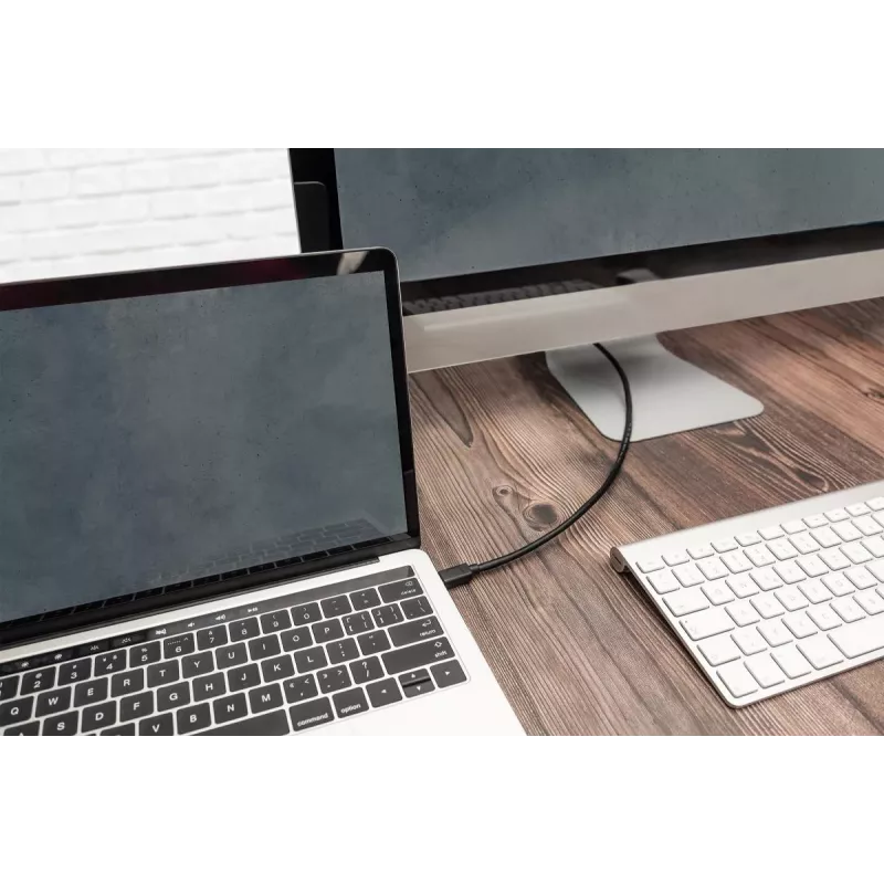 DIGITUS καλώδιο σύνδεσης USB Type-C, type C to C M/M, 1m Gen2 μαύρο (AK-300139-010-S)