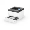 Εκτυπωτής laser Ricoh P 501 B A4 ασπρόμαυρος
