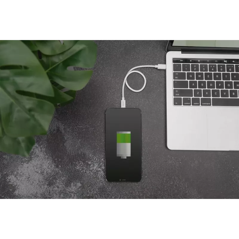 DIGITUS DB-600109-020-W καλώδιο USB-C σε Lightning, πιστοποίηση MFi, Power Delivery 2.0, 2 m, λευκό