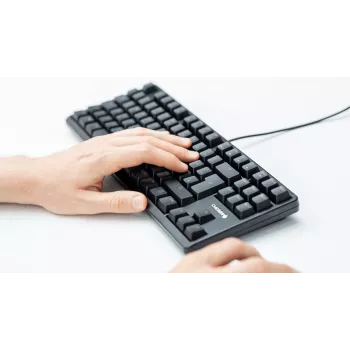 CHERRY G80-3000N RGB TKL Πληκτρολόγιο Universal USB QWERTZ Γερμανικό μαύρο