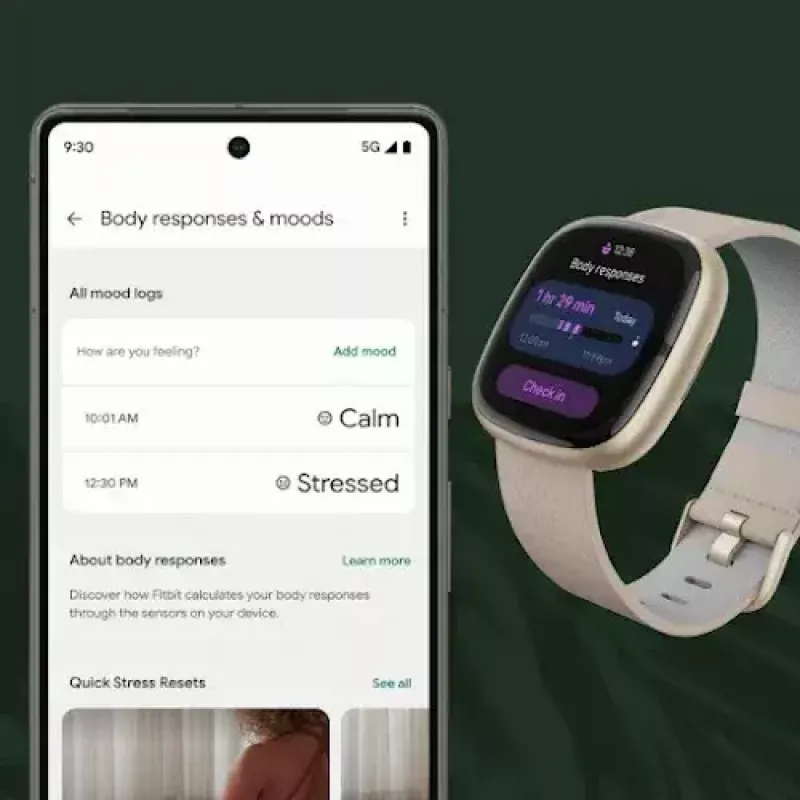 Έξυπνο ρολόι Fitbit Sense 2