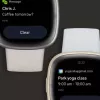 Έξυπνο ρολόι Fitbit Sense 2