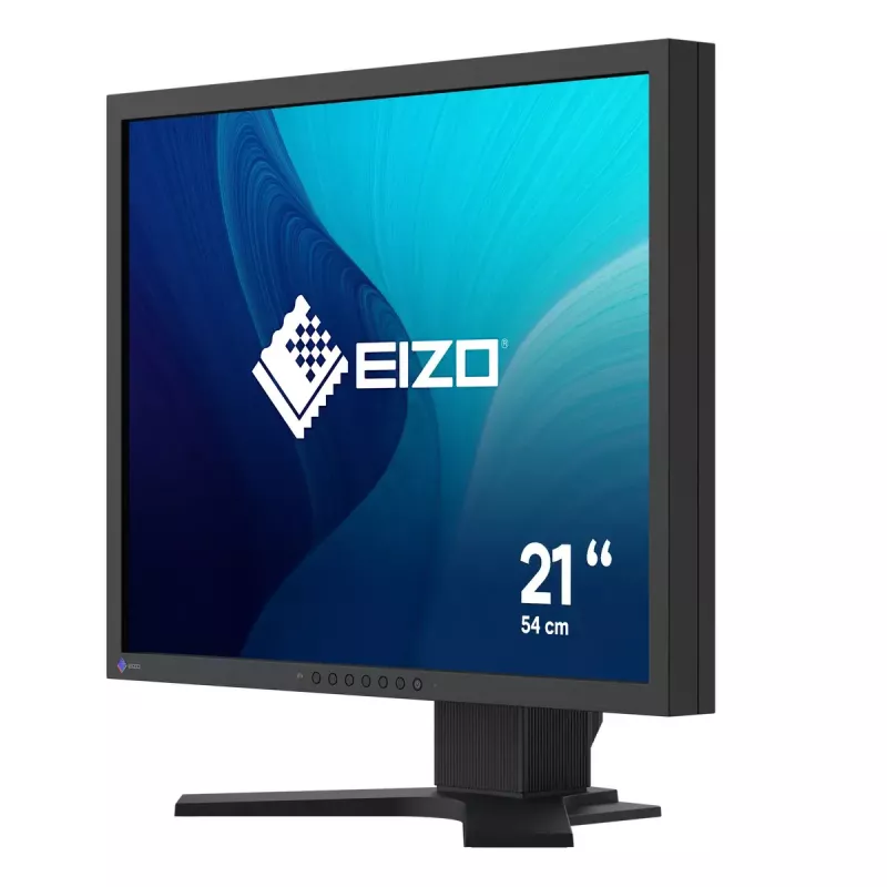 Οθόνη EIZO FlexScan S2134 21,3 ίντσες LED DisplayPort DVI-D VGA