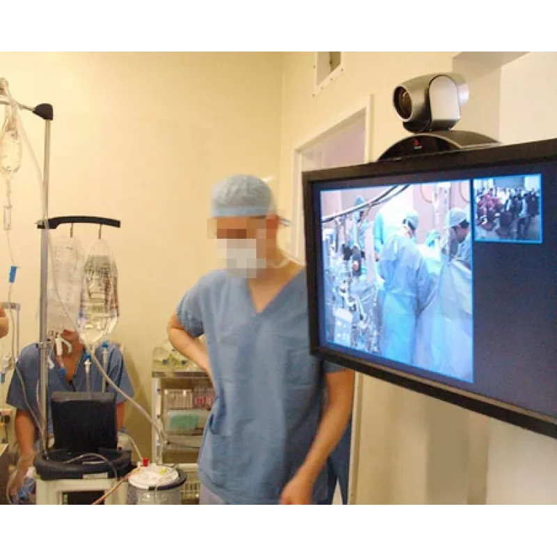 ERGOTRON Interactive Arm Hd (γυαλισμένο αλουμίνιο)