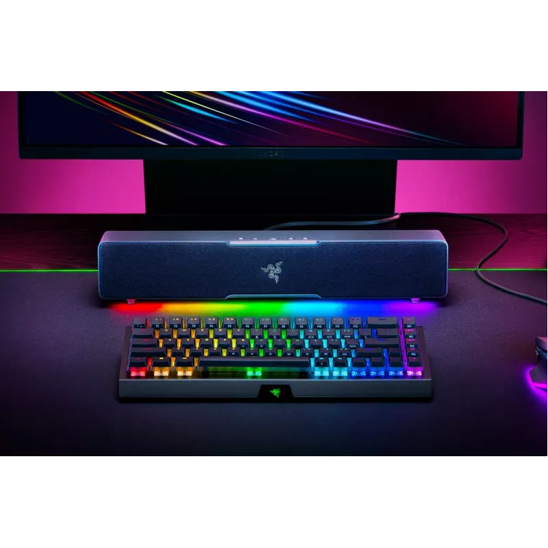 RAZER Leviathan V2 X - PC-Gaming Soundbar - Μαύρο