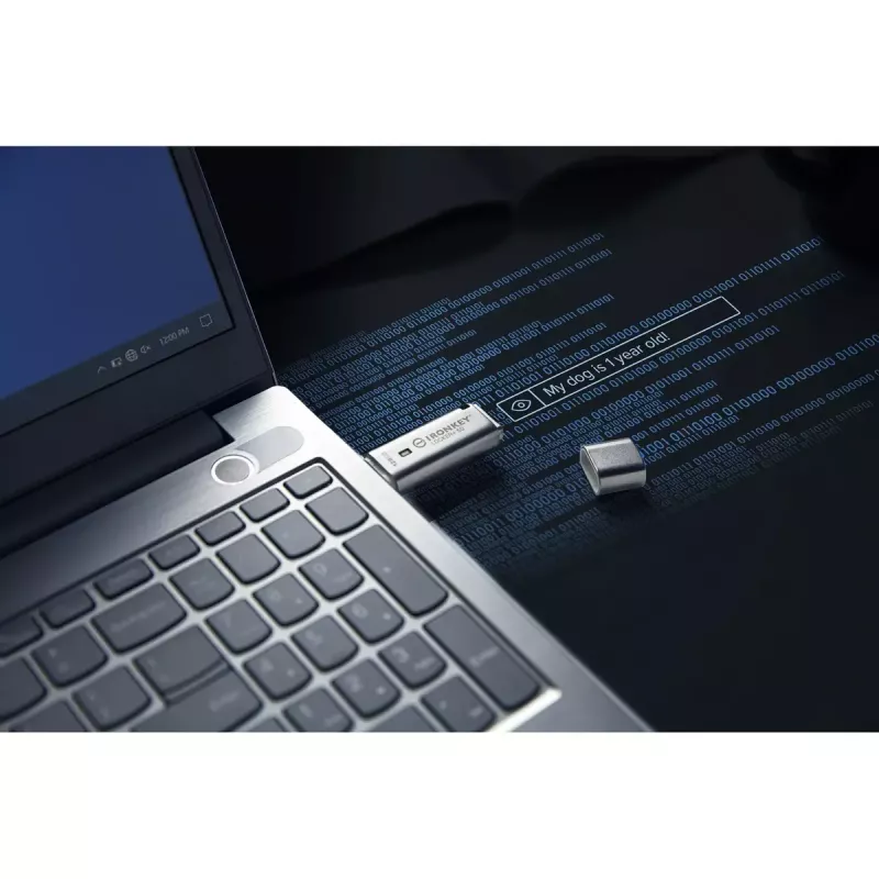 Kingston Technology IronKey 128GB IKLP50 AES USB με κρυπτογράφηση 256-bit