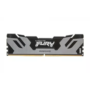 Kingston Technology FURY 48 GB 6400 MT/s DDR5 CL32 DIMM Renegade Ασημί XMP