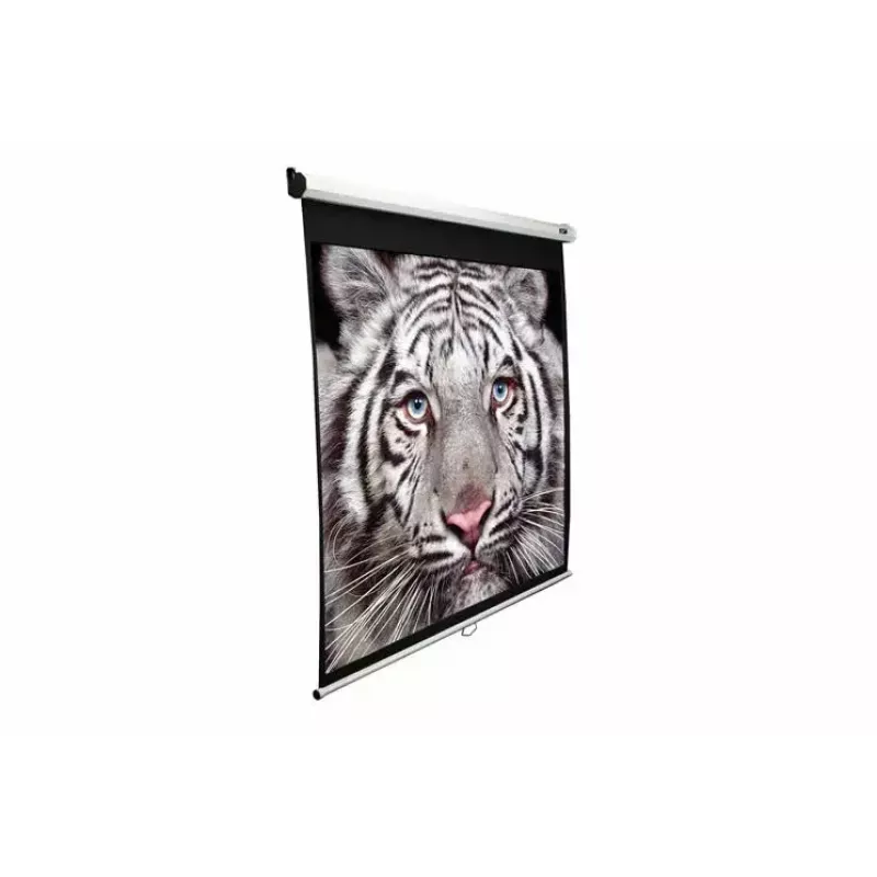 Οθόνη προβολής Elite Screens M99UWS1