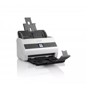 Epson WorkForce DS-870 σαρωτής με τροφοδότη 600 x 600 DPI A4 γκρι, λευκό