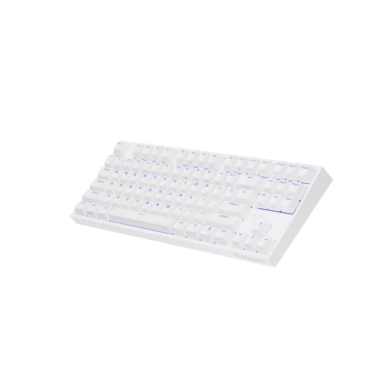 GENESIS Thor 404 TKL Πληκτρολόγιο Gaming USB QWERTY US International Λευκό