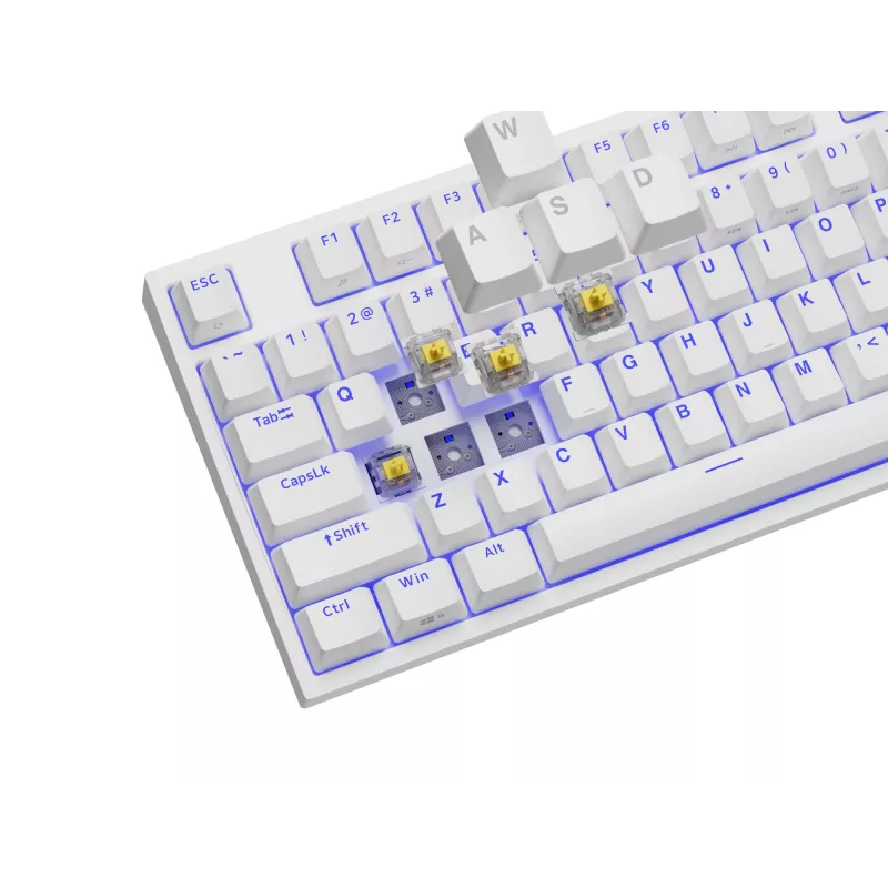 GENESIS Thor 404 TKL Πληκτρολόγιο Gaming USB QWERTY US International Λευκό