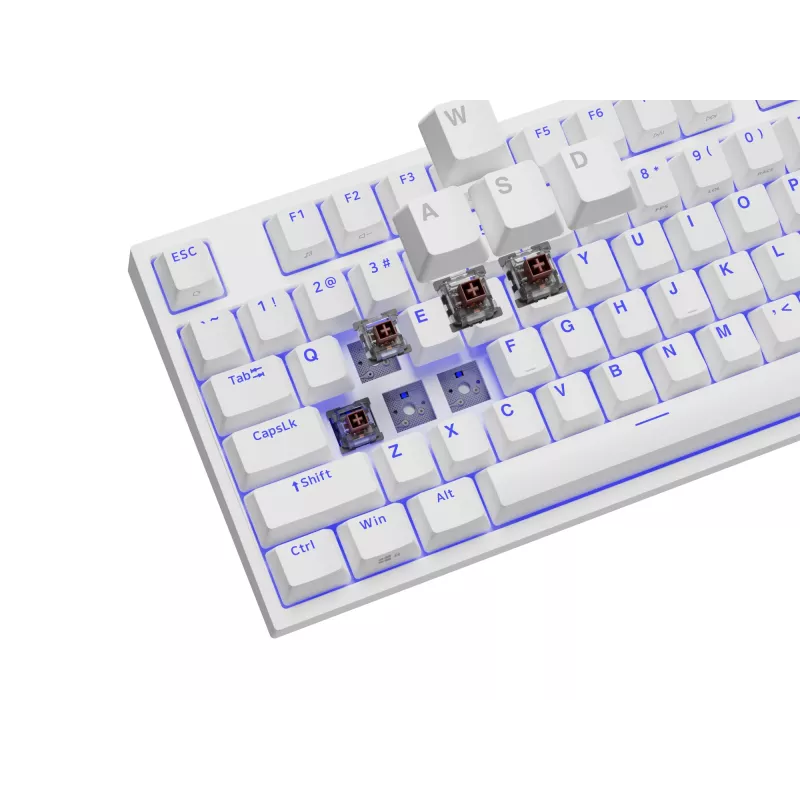 GENESIS Thor 404 TKL Πληκτρολόγιο Gaming USB QWERTY US International Λευκό