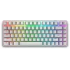 Alienware Pro Wireless Gaming Keyboard USB + RF Wireless + Bluetooth Λευκό