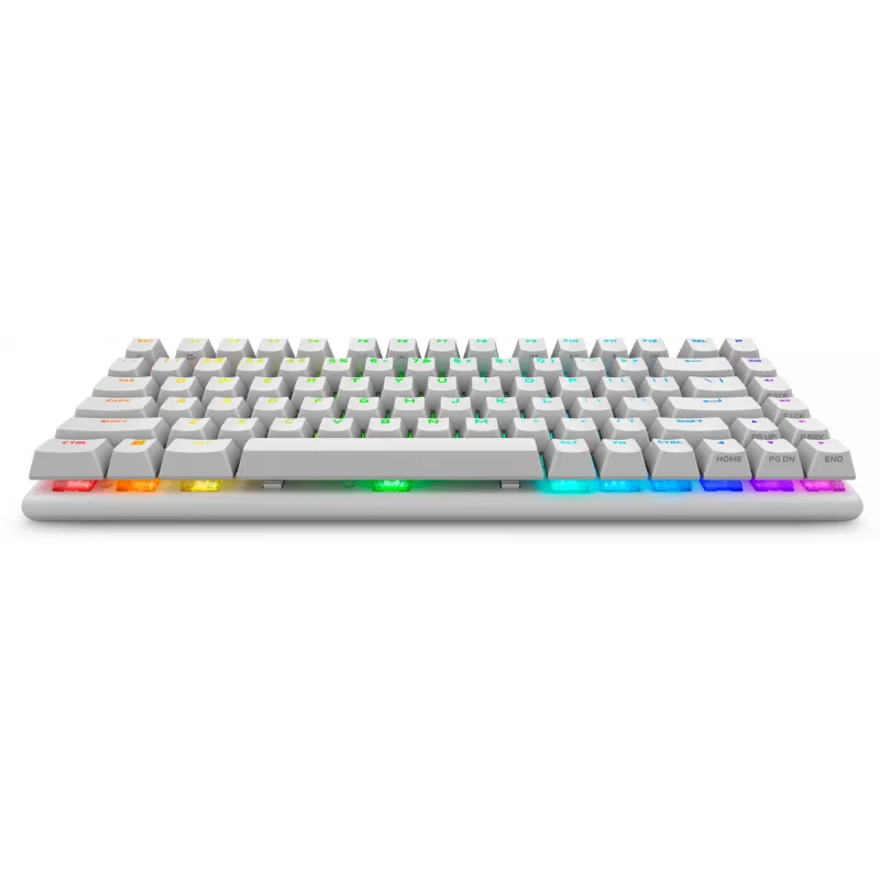 Alienware Pro Wireless Gaming Keyboard USB + RF Wireless + Bluetooth Λευκό