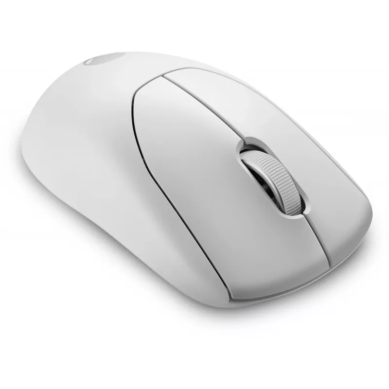 Alienware Pro Wireless Gaming Mouse Αμφίχειρο RF Wireless + USB Type-C Οπτικό 26000 DPI