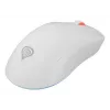 GENESIS Zircon XIII Ποντίκι Gaming αμφιδέξιο RF Wireless + USB Type-C οπτικό 26000 DPI