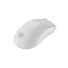 GENESIS Zircon 500 Ποντίκι Gaming δεξιόχειρο RF Wireless + Bluetooth + USB Type-C οπτικό 10000 DPI