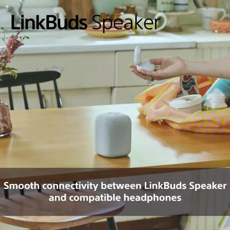 Φορητό ηχείο Bluetooth Sony SRS-LS1 μαύρο – αδιάβροχο, συμπαγής σχεδιασμός