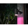 Philips Hue White and Colour Ambience Lily Εξωτερικός προβολέας
