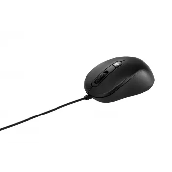 ASUS MU101C Ποντίκι Office Αμφίχειρο USB Type-A Οπτικό 3200 DPI