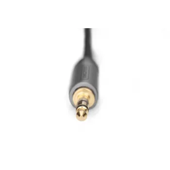 Καλώδιο προσαρμογέα ήχου Digitus DB-510330-010-S 3,5 mm σε RCA 1 m μαύρο