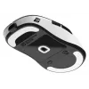 Ποντίκι gaming Endgame Gear XM2we