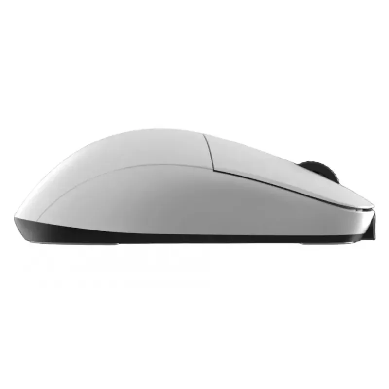 Ποντίκι gaming Endgame Gear XM2we