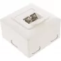 Πρίζα τοίχου InLine Cat.6 2x RJ45 οριζόντια — τοποθέτηση επιφανείας ή χωνευτή