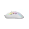 Glorious Gaming Glorious Model D 2 Wireless - ματ λευκό, δεξιόχειρας, RF Wireless, 19000 DPI, λευκό
