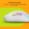 Glorious Gaming Glorious Model D 2 Wireless - ματ λευκό, δεξιόχειρας, RF Wireless, 19000 DPI, λευκό