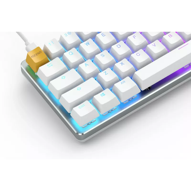 Glorious Gaming GMMK Πληκτρολόγιο USB QWERTY US International Ασήμι, Λευκό